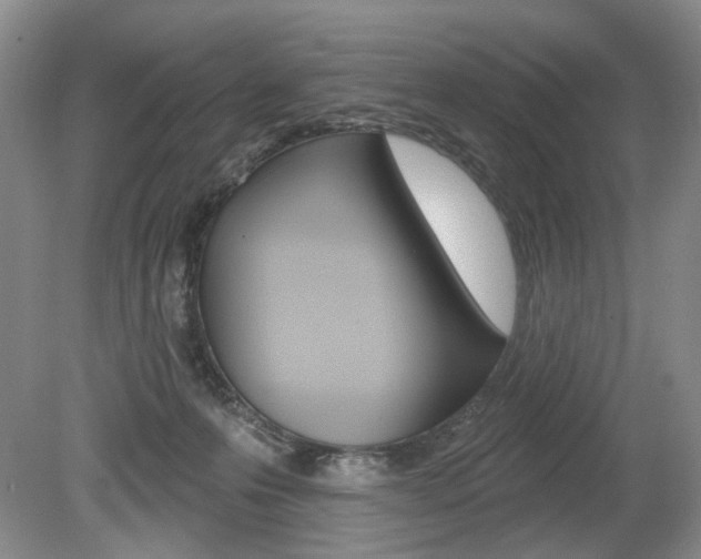 X0000080100223200612080938