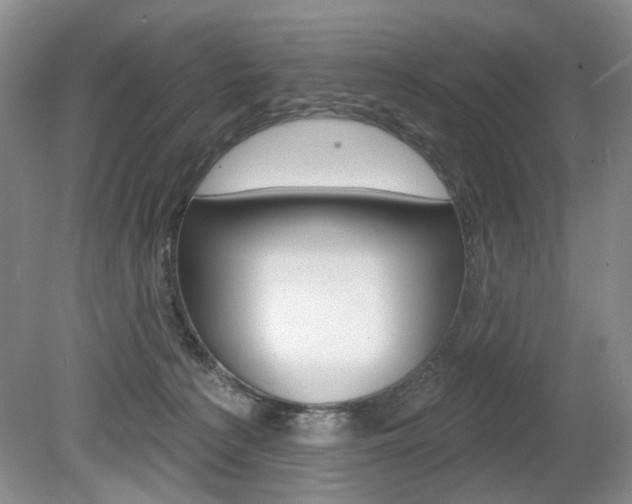 X0000080100225200612080937