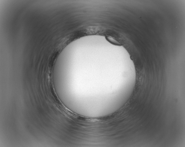 X0000080100226200612080937