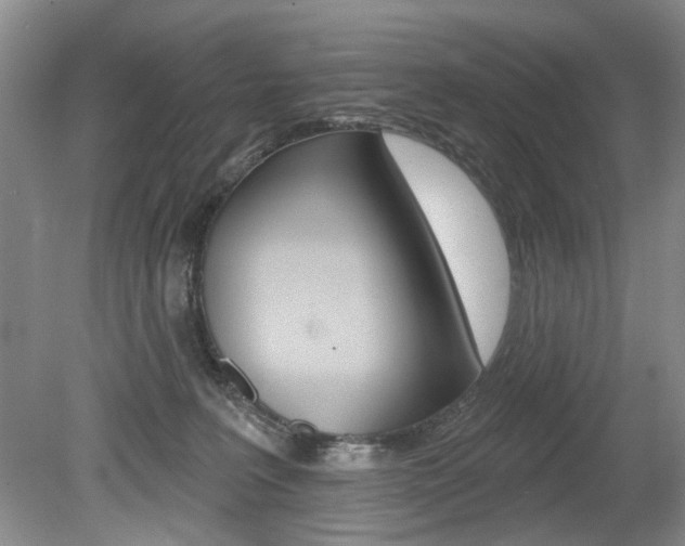 X0000080100227200612080937