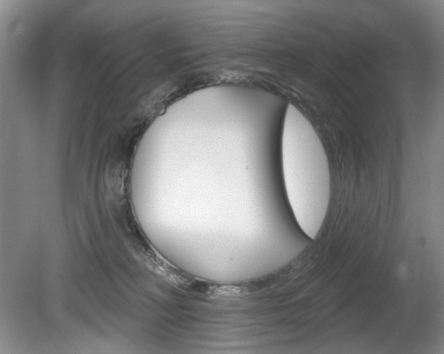 X0000080100230200612080937