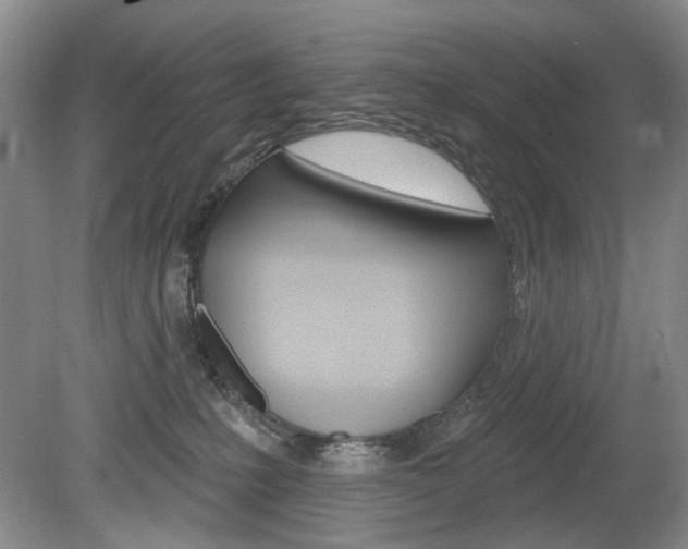 X0000080100231200612080937