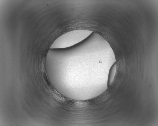 X0000080100234200612080937
