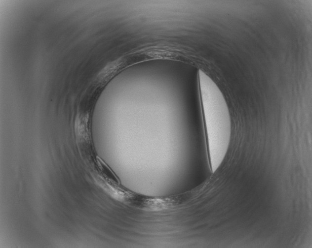 X0000080100239200612080937