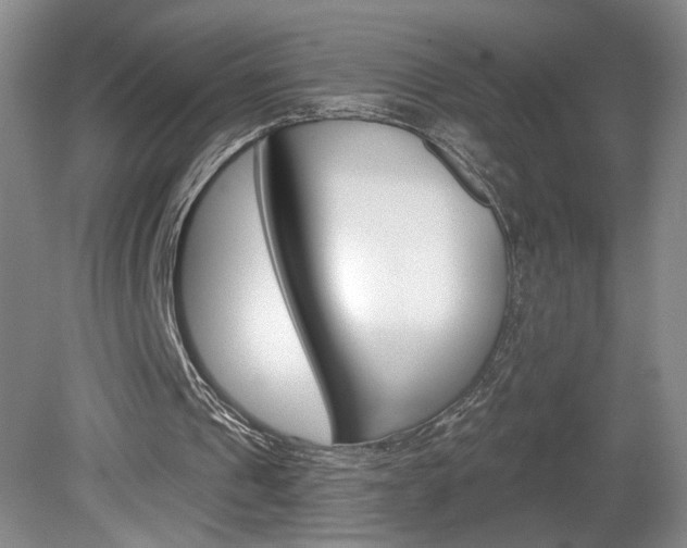 X0000080100241200612080936