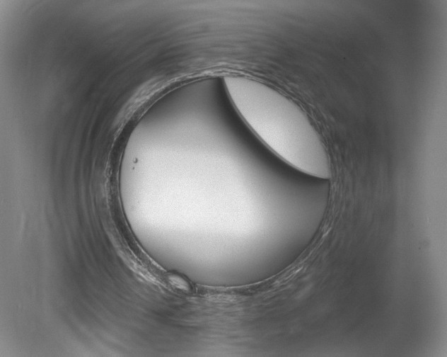 X0000080100242200612080936