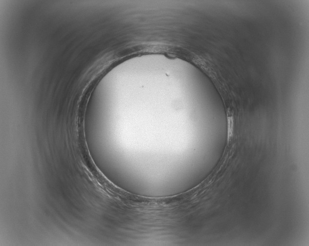 X0000080100243200612080936
