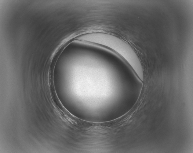 X0000080100244200612080936