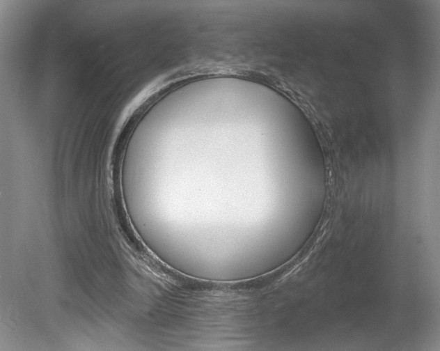 X0000080100246200612080937