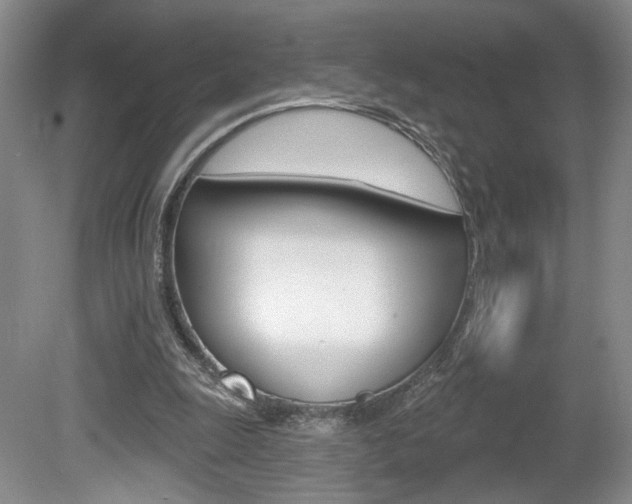 X0000080100247200612080937