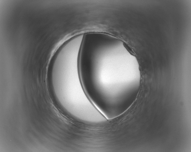 X0000080100248200612080937