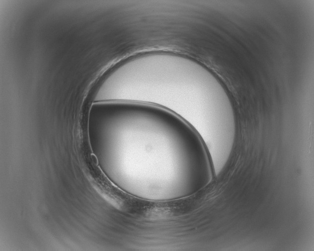 X0000080100252200612080937