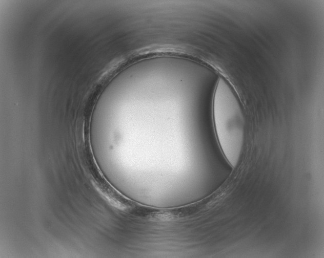 X0000080100253200612080937