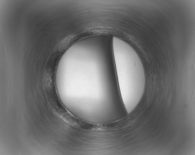 X0000080100259200612080937