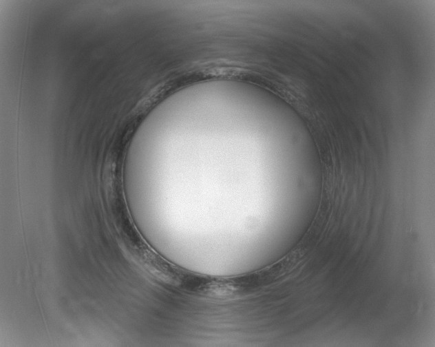 X0000080100263200612080937