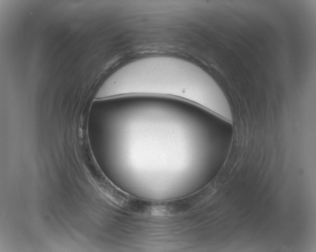 X0000080100264200612080937