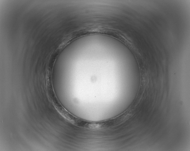 X0000080100265200612080937