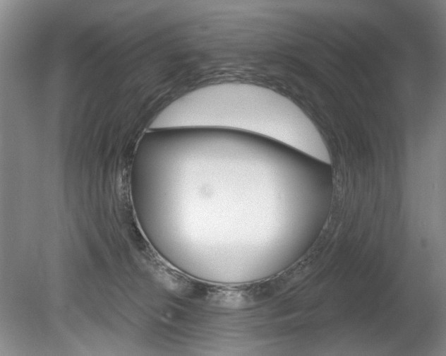 X0000080100276200612080937