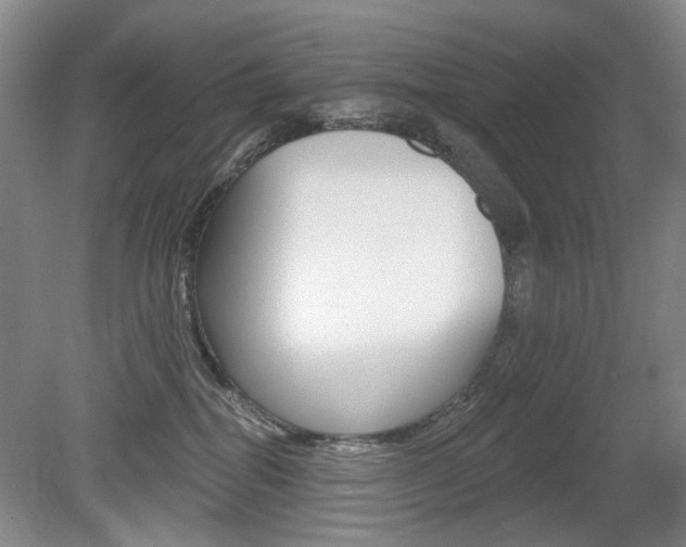 X0000080100282200612080937
