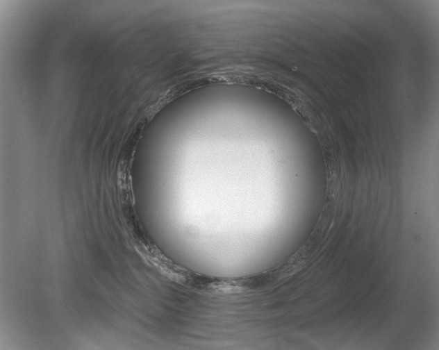 X0000080100284200612080937