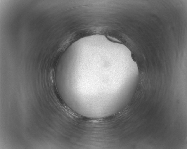X0000080100286200612080937
