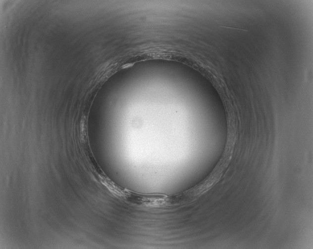 X0000080100288200612080937