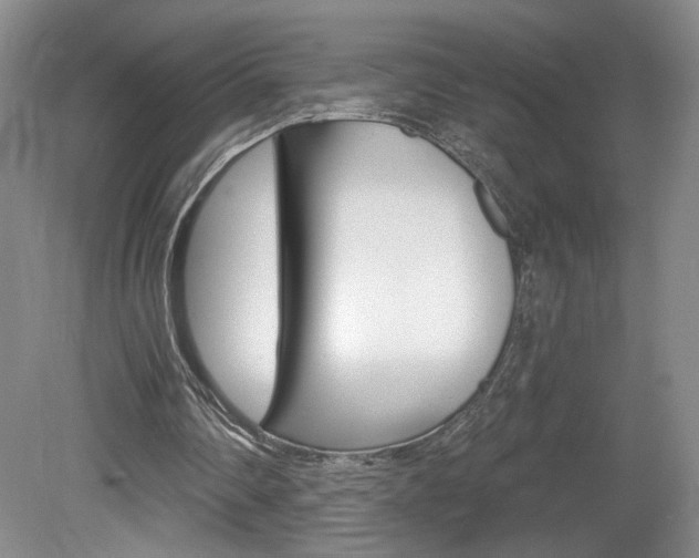 X0000080100290200612080936