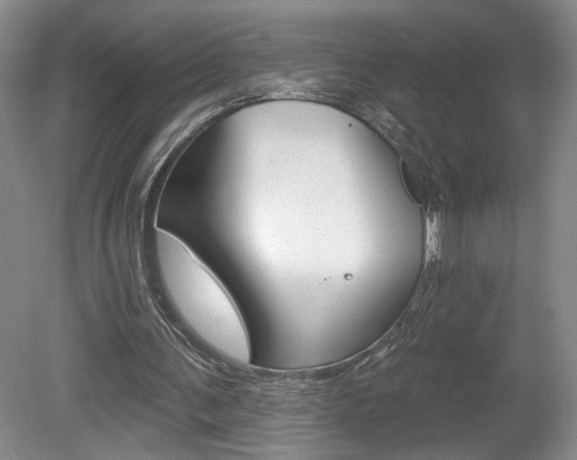 X0000080100291200612080936