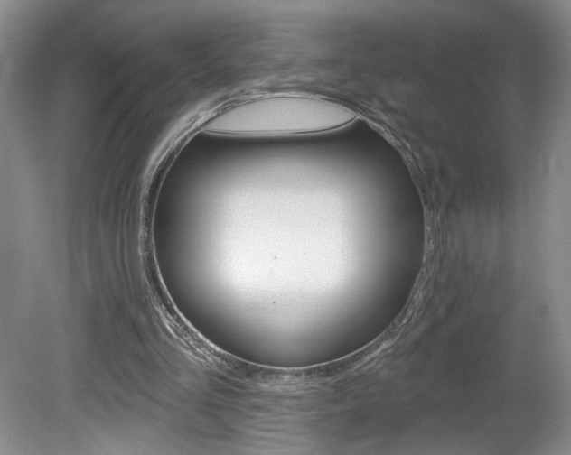 X0000080100293200612080936