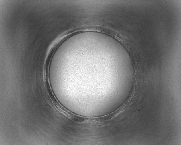 X0000080100294200612080936