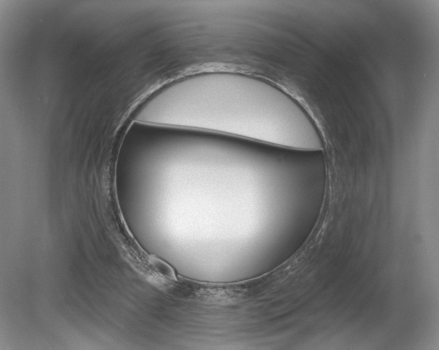 X0000080100297200612080936