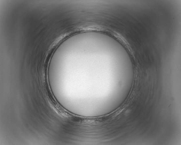 X0000080100298200612080936