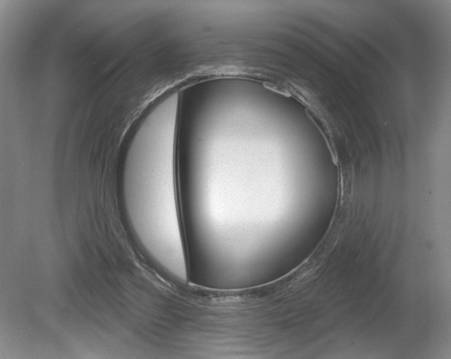 X0000080100301200612080936