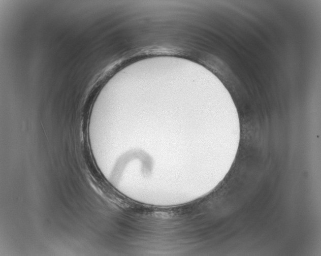 X0000080100302200612080936