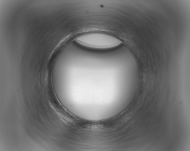 X0000080100304200612080936