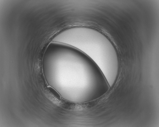 X0000080100305200612080936