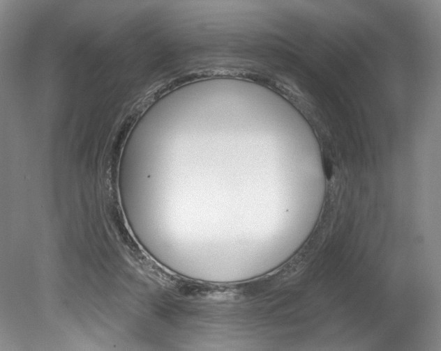 X0000080100306200612080936