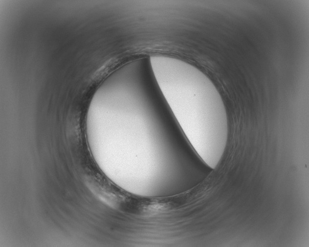 X0000080100312200612080936