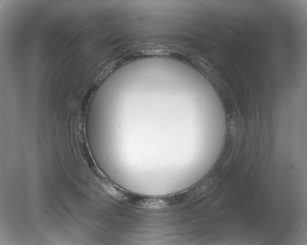 X0000080100322200612080936