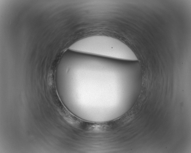X0000080100323200612080936
