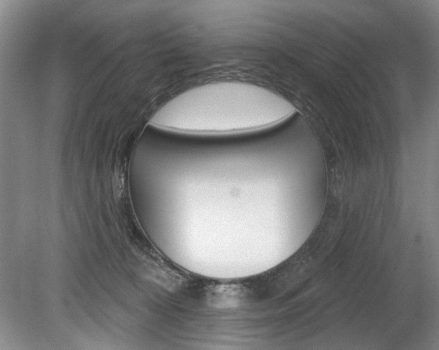 X0000080100324200612080936