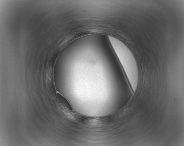 X0000080100325200612080936