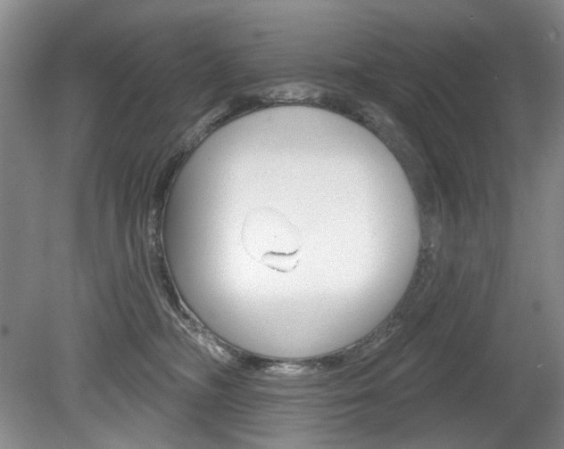 X0000080100326200612080936