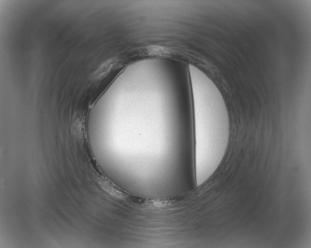 X0000080100329200612080936