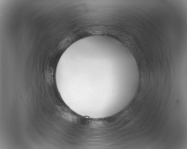 X0000080100332200612080936