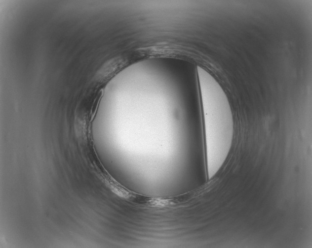 X0000080100333200612080936