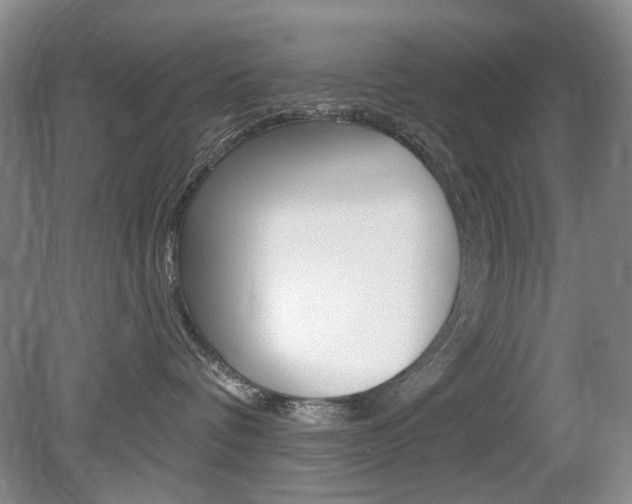 X0000080100336200612080936