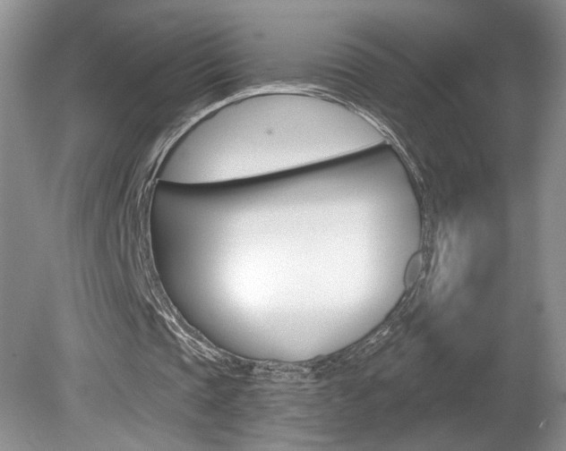 X0000080100337200612080935