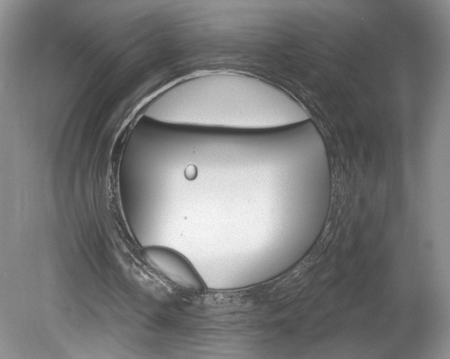 X0000080100338200612080935