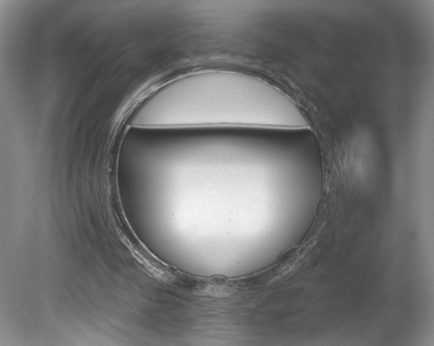X0000080100341200612080935